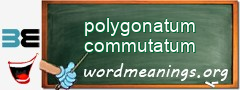 WordMeaning blackboard for polygonatum commutatum